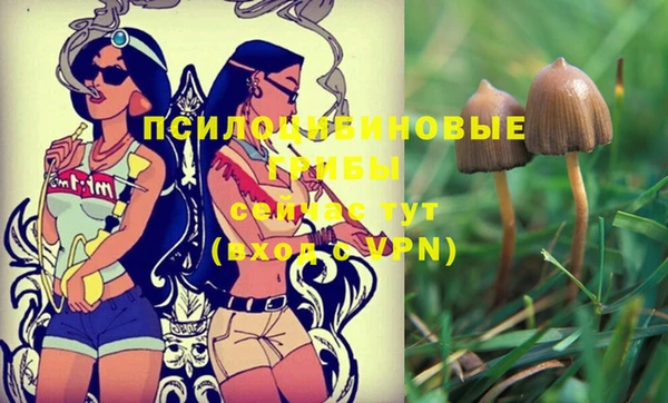 хмурый Гусиноозёрск