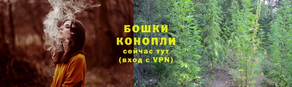 хмурый Гусиноозёрск