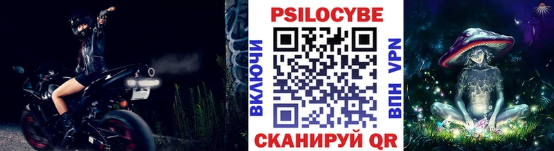 Галлюциногенные грибы Psilocybe Пошехонье